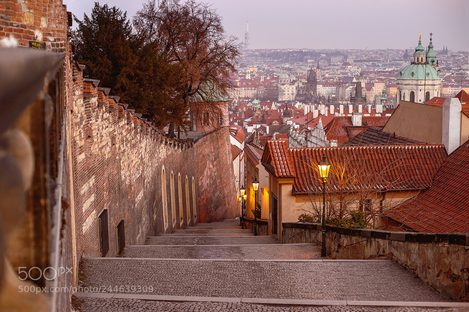 Nikon Df sample photo. Old castle steps stairs photography