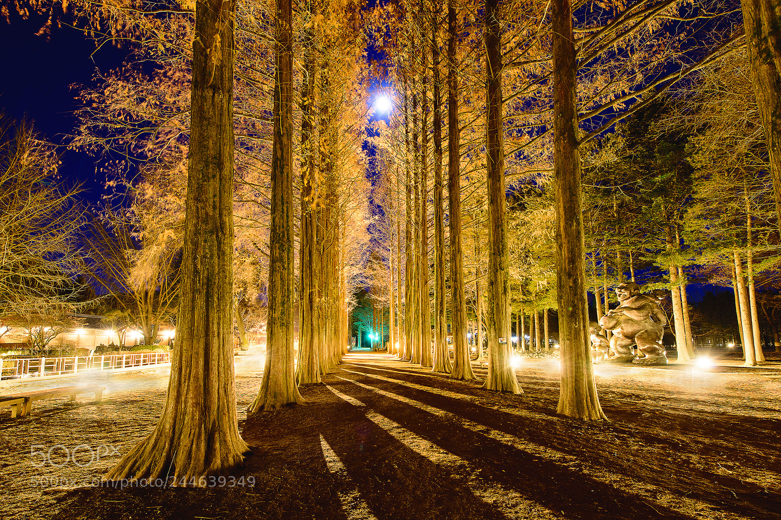 Nikon D810 sample photo. Night shape of nami photography