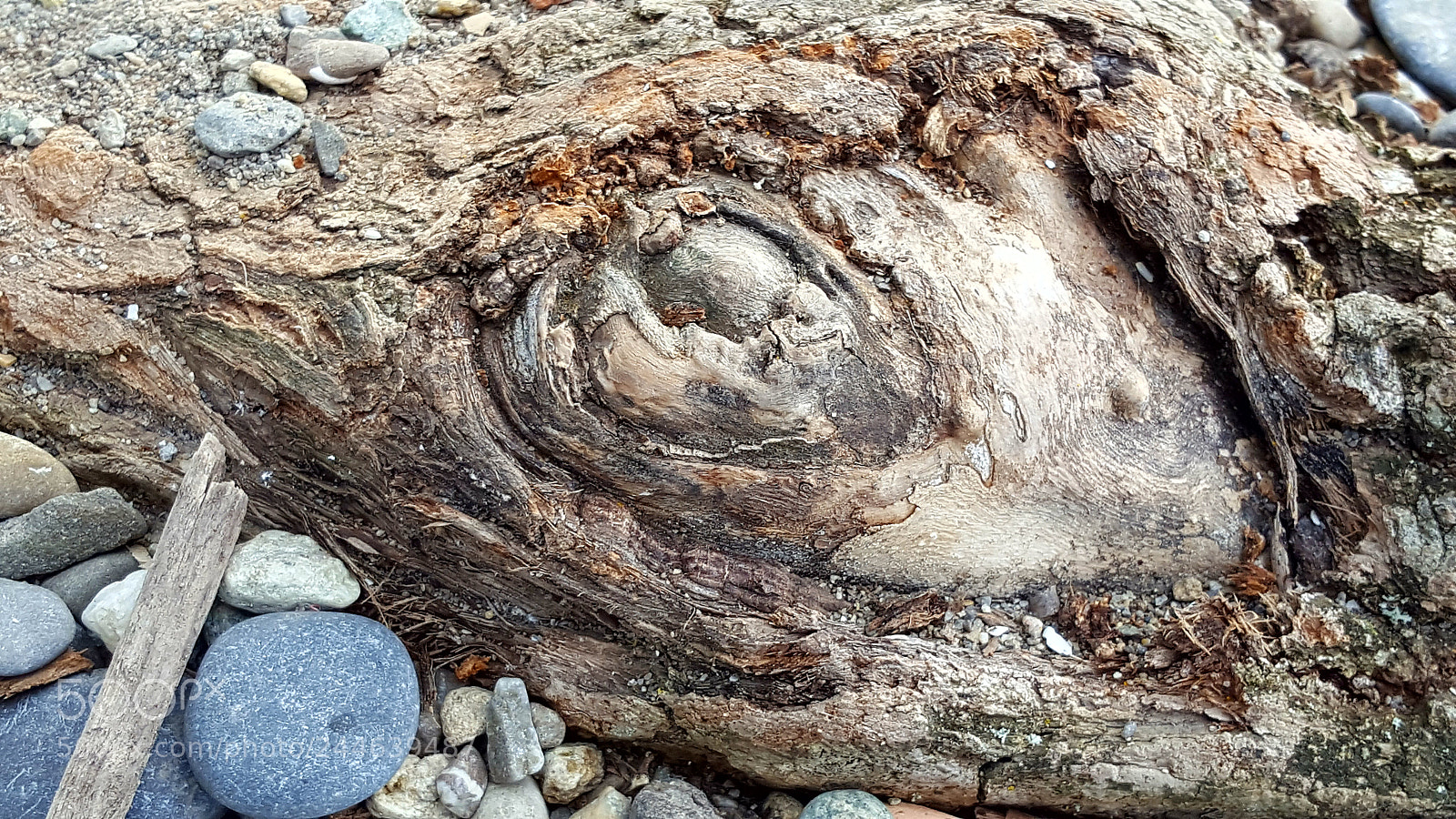 Samsung Galaxy S6 sample photo. Untitled photography