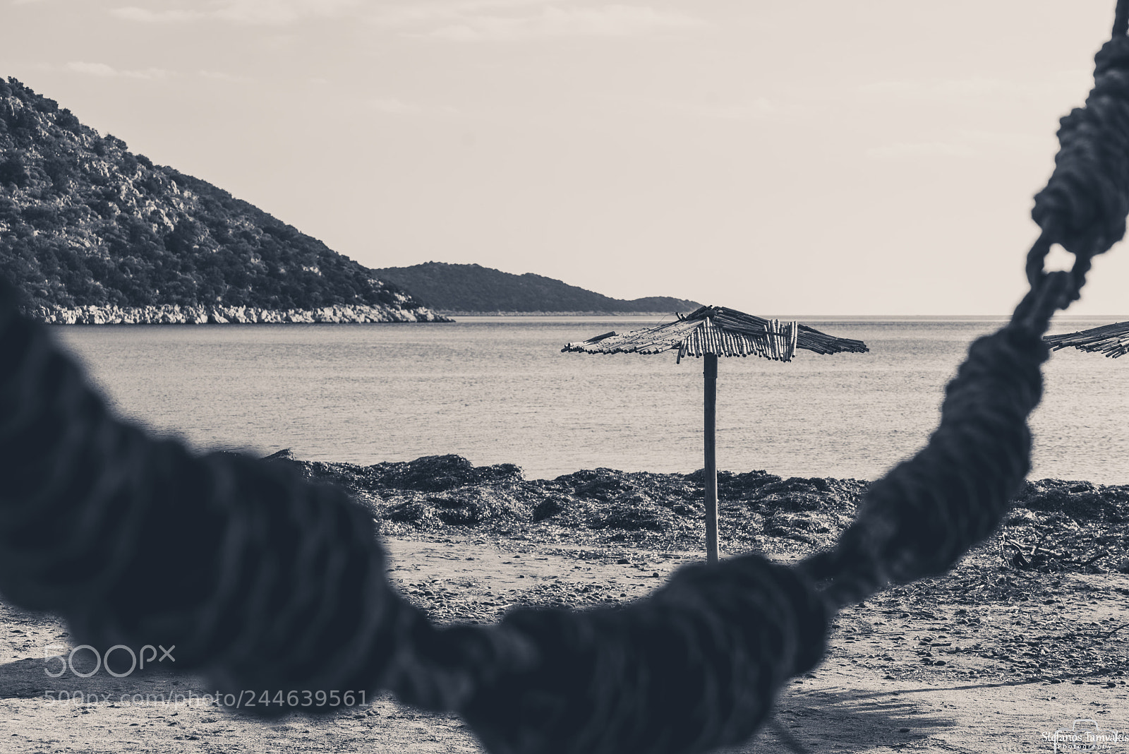 Sony a7R sample photo. Waiting for the summer photography