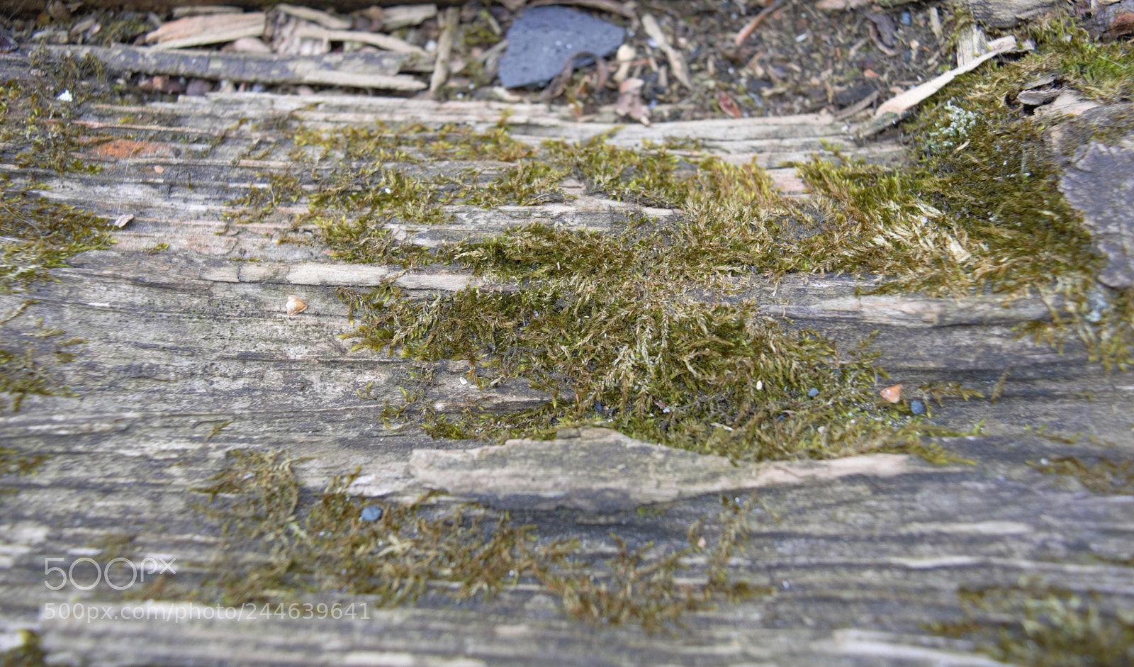 Nikon D3200 sample photo. Abstract photography