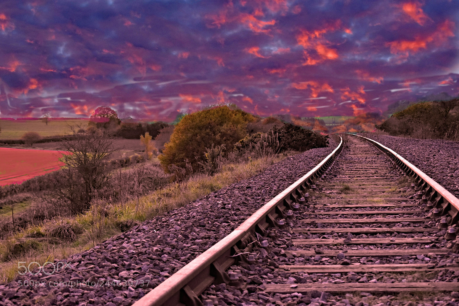 Nikon D3400 sample photo. Train tracks to nowhere photography
