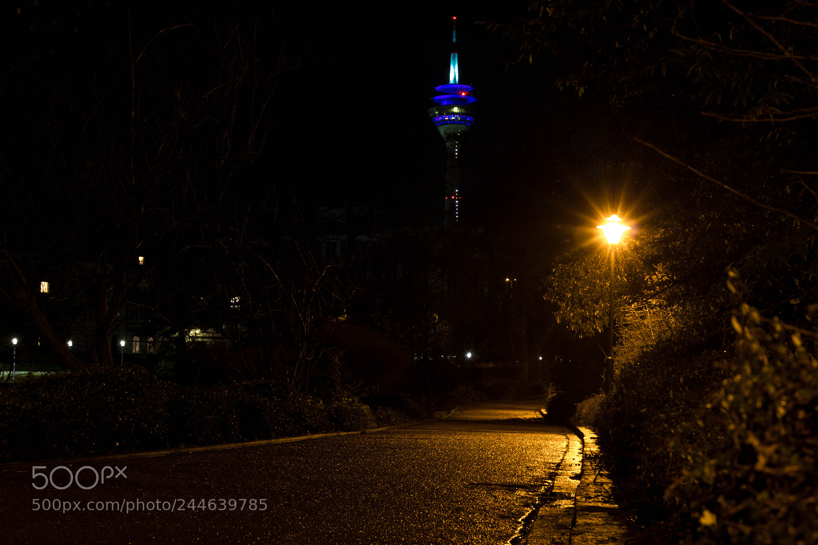 Canon EOS 750D (EOS Rebel T6i / EOS Kiss X8i) sample photo. Düsseldorf at night photography