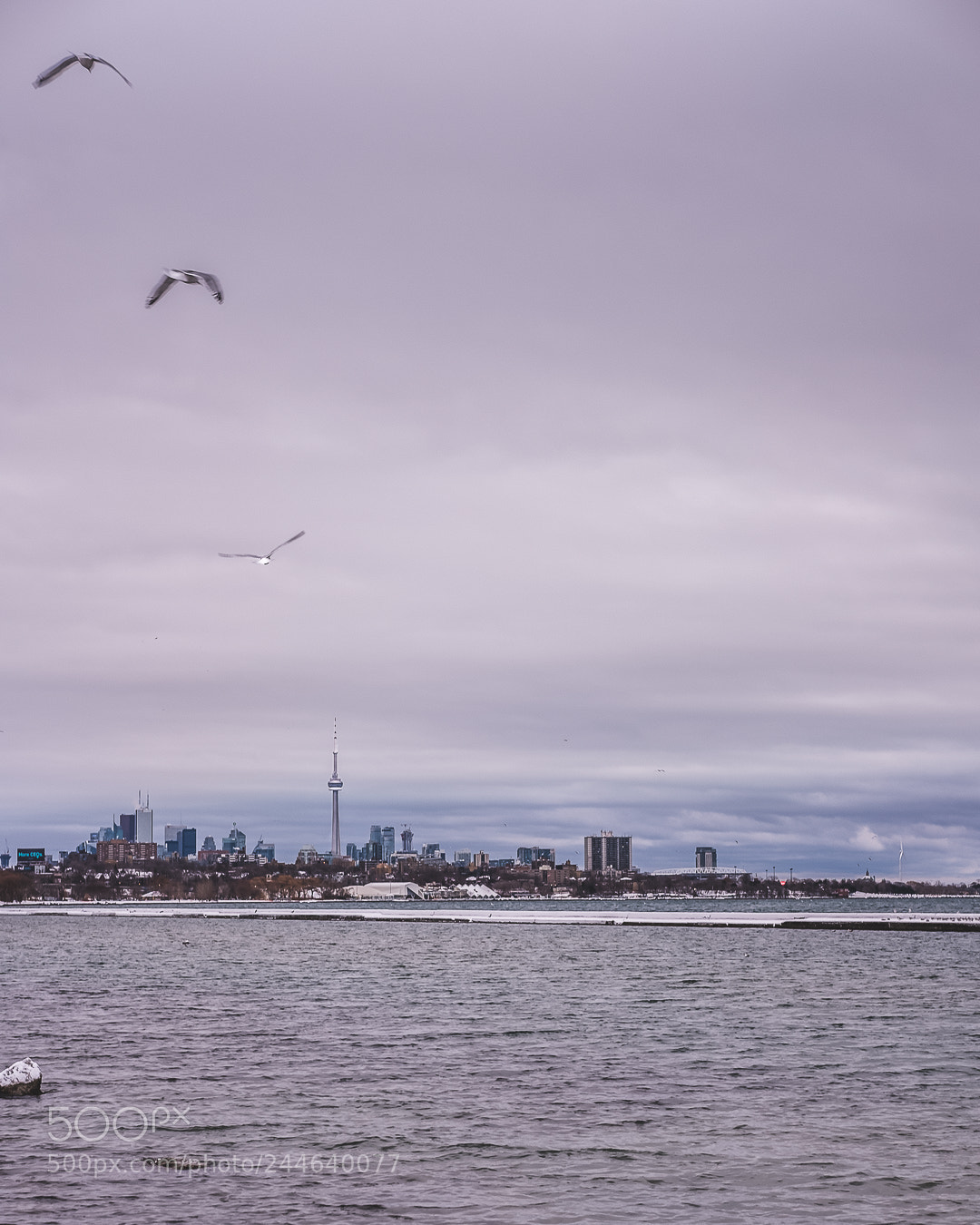 Fujifilm X-T20 sample photo. 6ix views photography