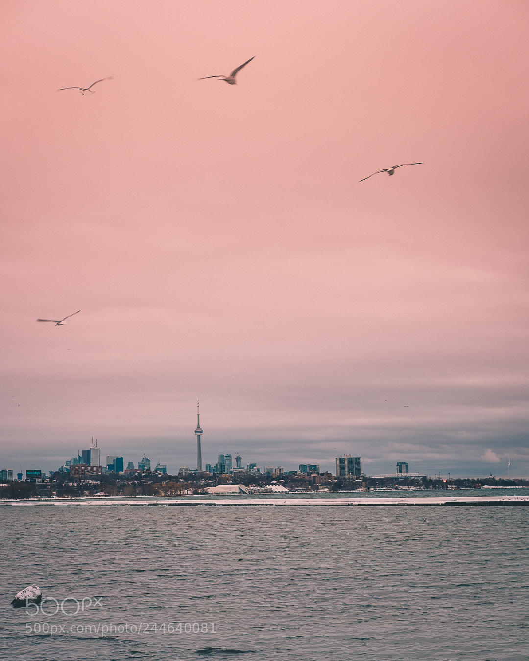 Fujifilm X-T20 sample photo. 6ix views photography