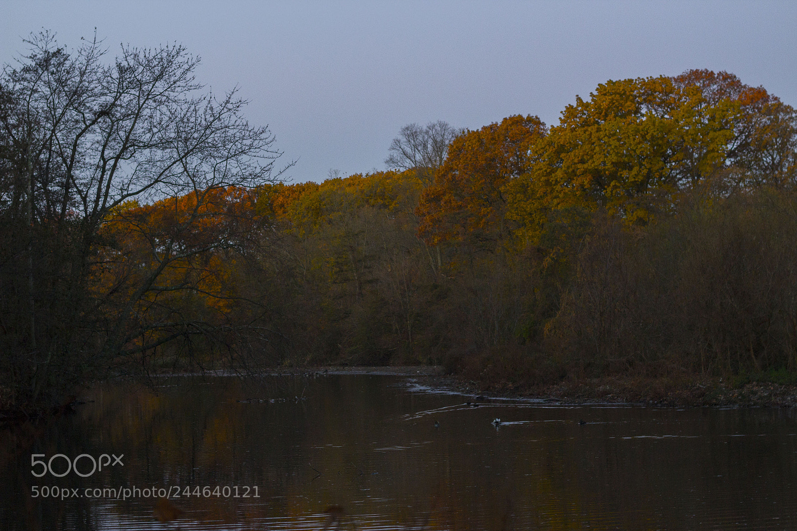 Canon EOS 1200D (EOS Rebel T5 / EOS Kiss X70 / EOS Hi) sample photo. Fall landscape photography