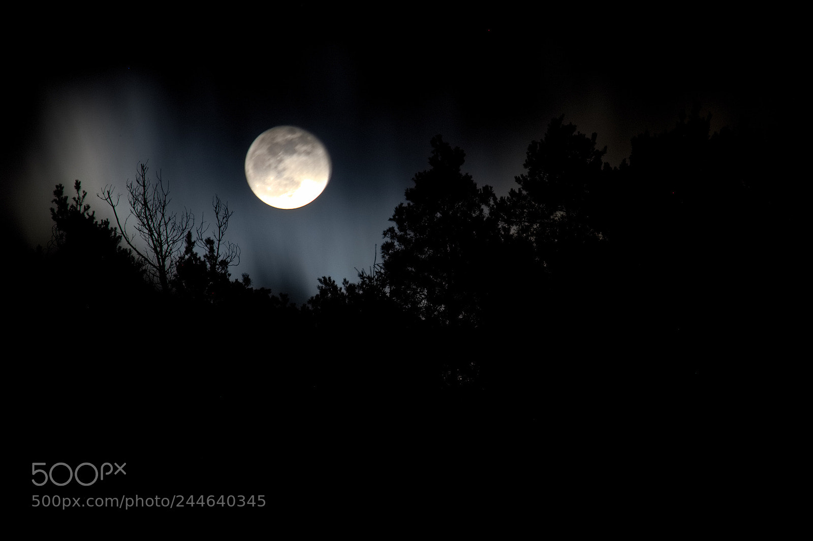 Canon EOS 100D (EOS Rebel SL1 / EOS Kiss X7) sample photo. Ok supermond vom balkon photography