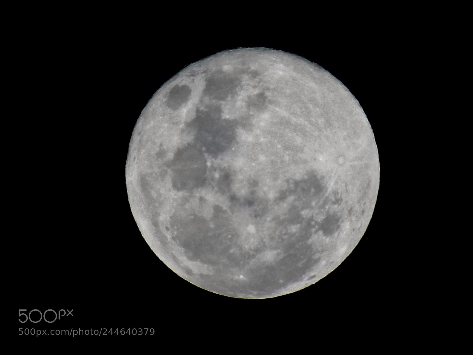 Nikon COOLPIX L340 sample photo. January 31st supermoon photography