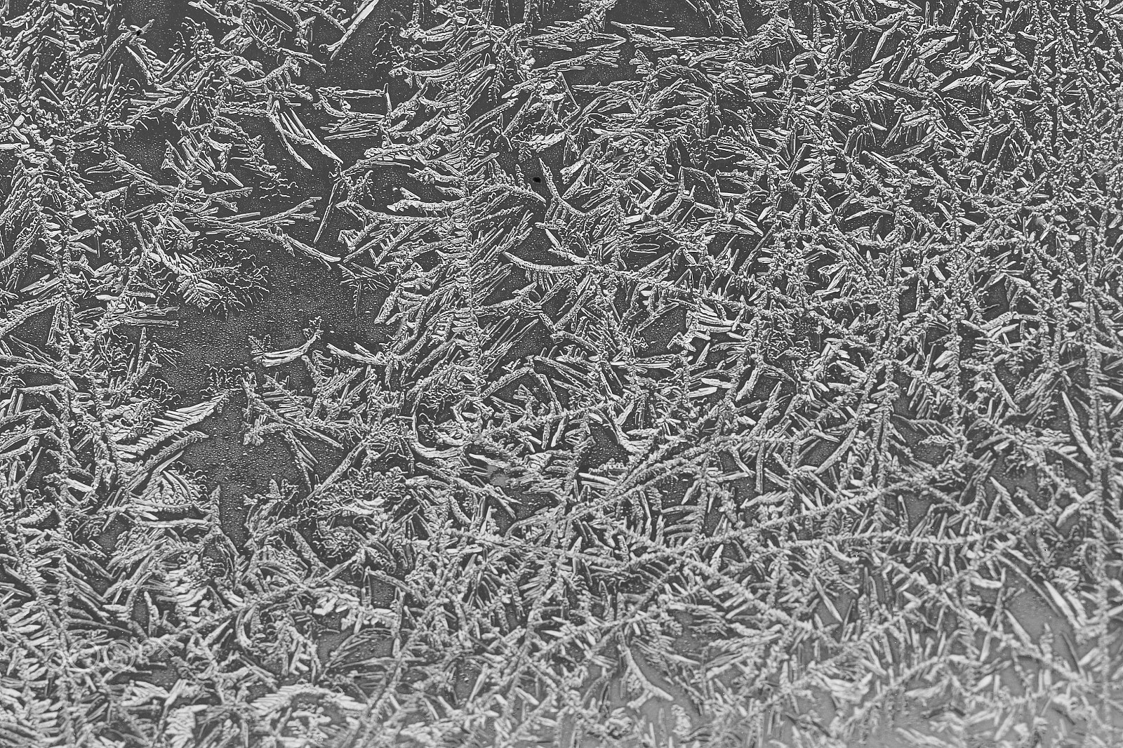 Canon EF 100mm F2.8L Macro IS USM sample photo. Frosty windows photography