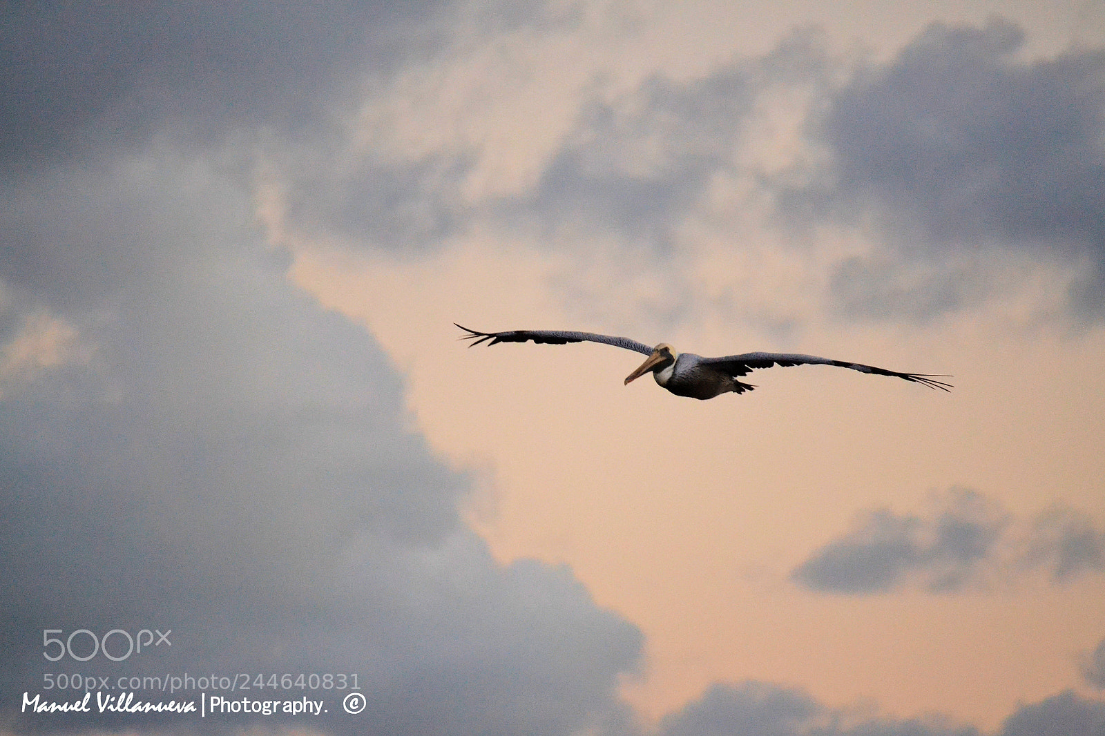 Nikon D3100 sample photo. Liberty photography