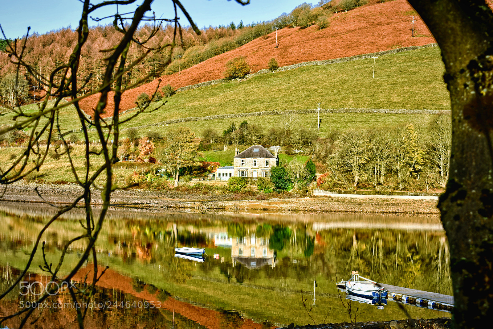 Nikon D3400 sample photo. Mirrored photography
