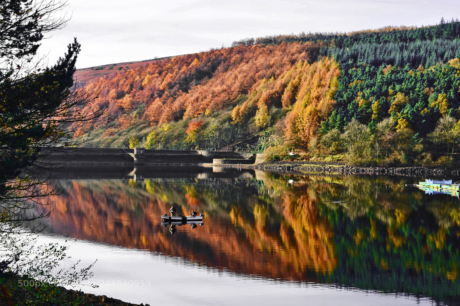 Nikon D3400 sample photo. Splash of colour photography