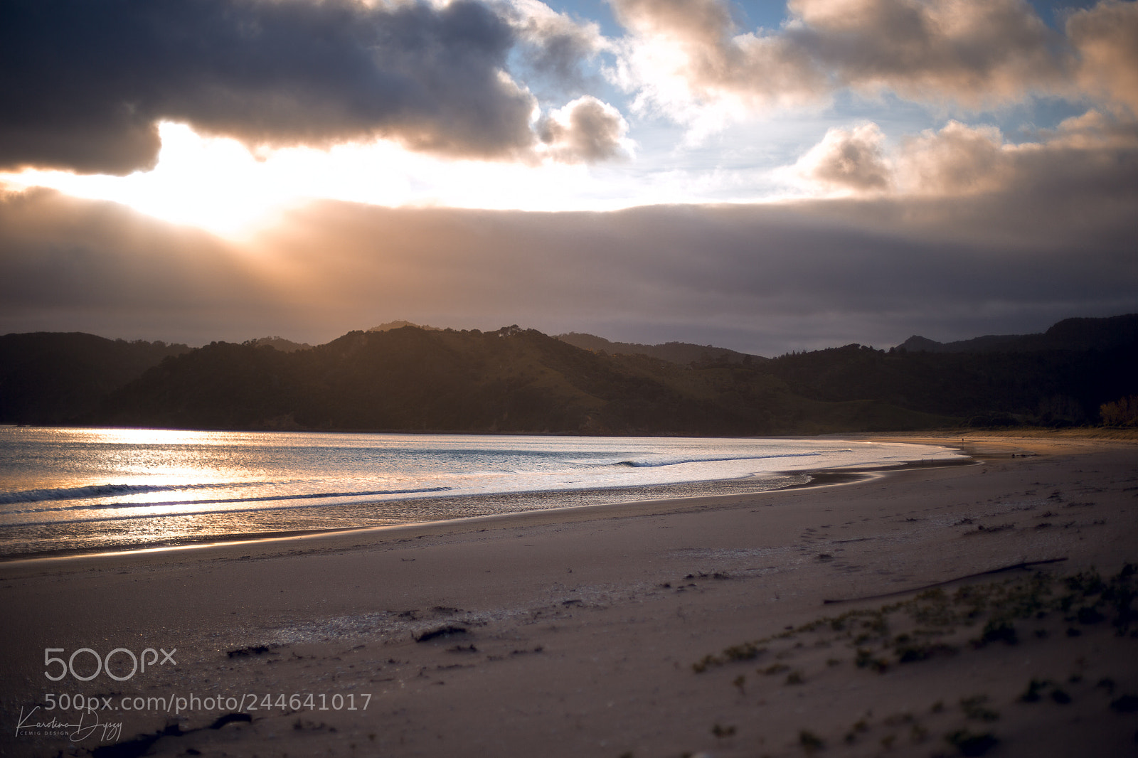 Canon EOS-1D X sample photo. North island new zealand photography