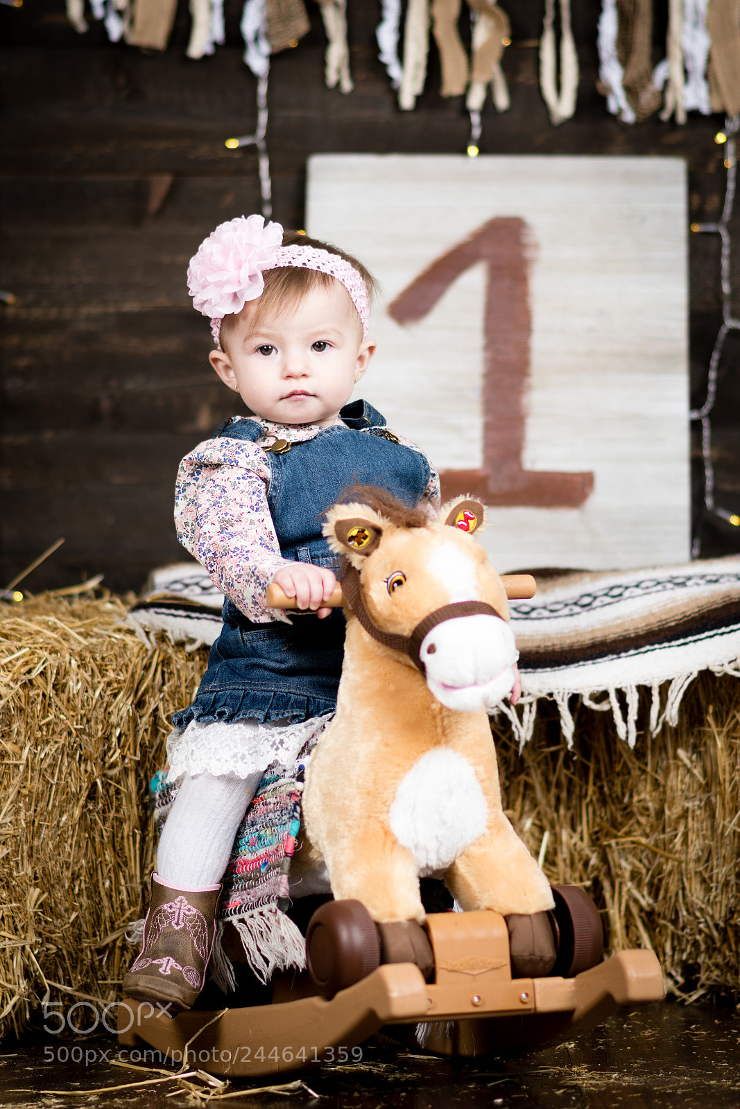 Nikon D500 sample photo. Gracie's 1yr portrait photography