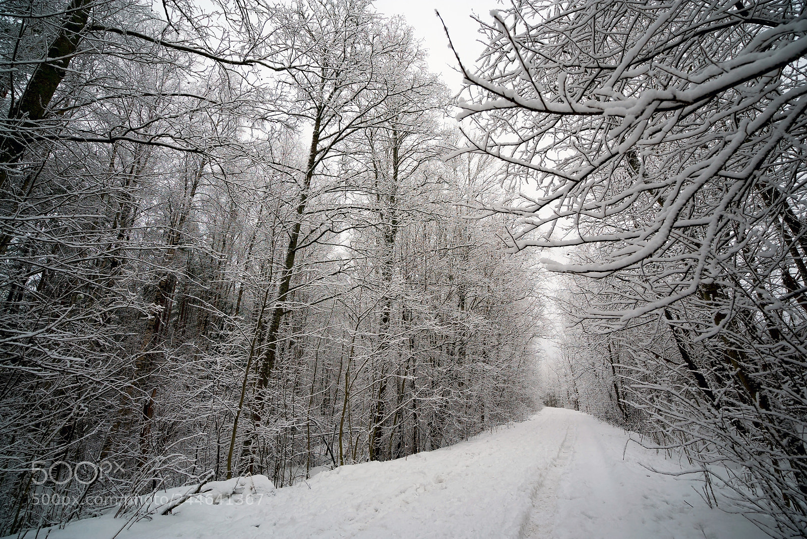 Sony a7S sample photo. Winter road in the photography