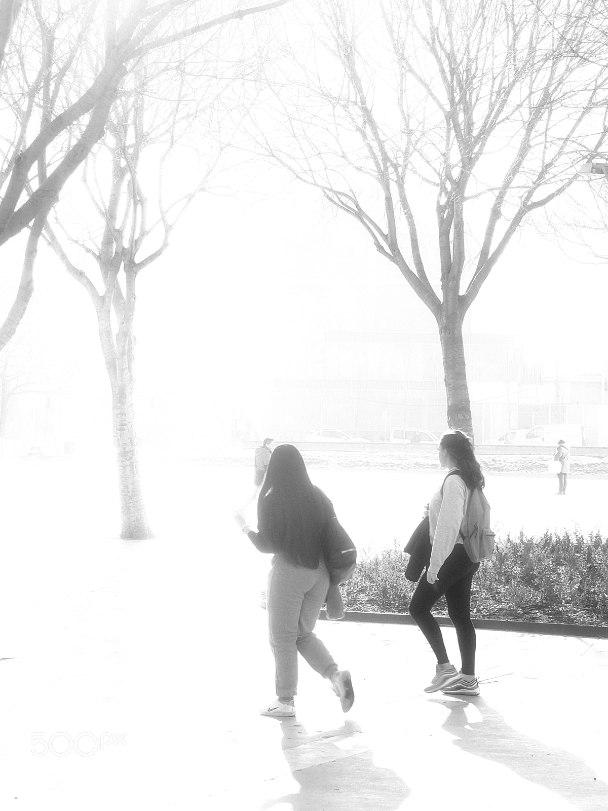 Fujifilm X-T10 sample photo. Untitled photography