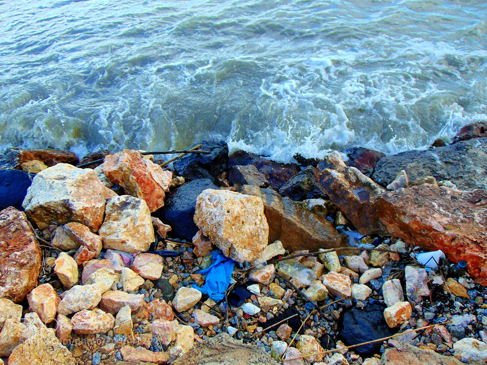 Sony Cyber-shot DSC-H300 sample photo. Untitled photography