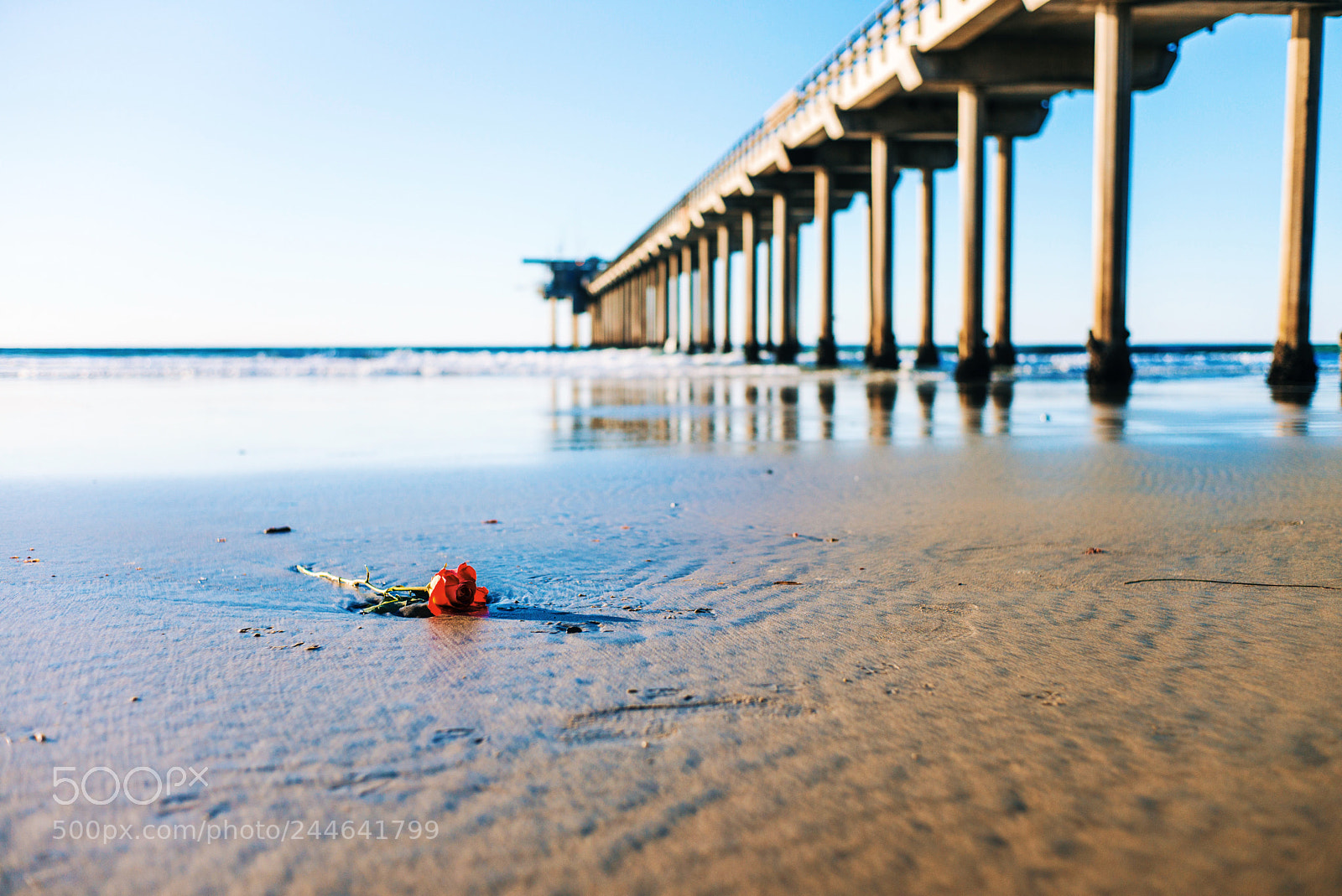 Leica M (Typ 240) sample photo. Sunset in san diego photography