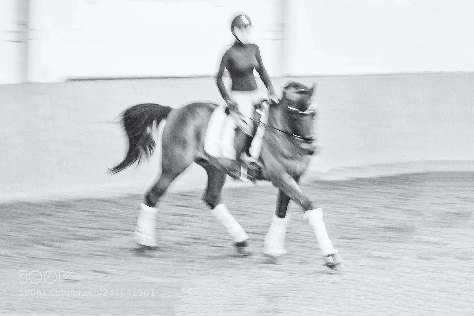 Canon EOS-1D X Mark II sample photo. Dressage photography