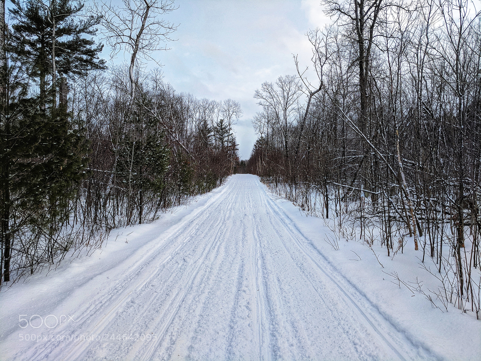 Google Pixel sample photo. When will this winter photography