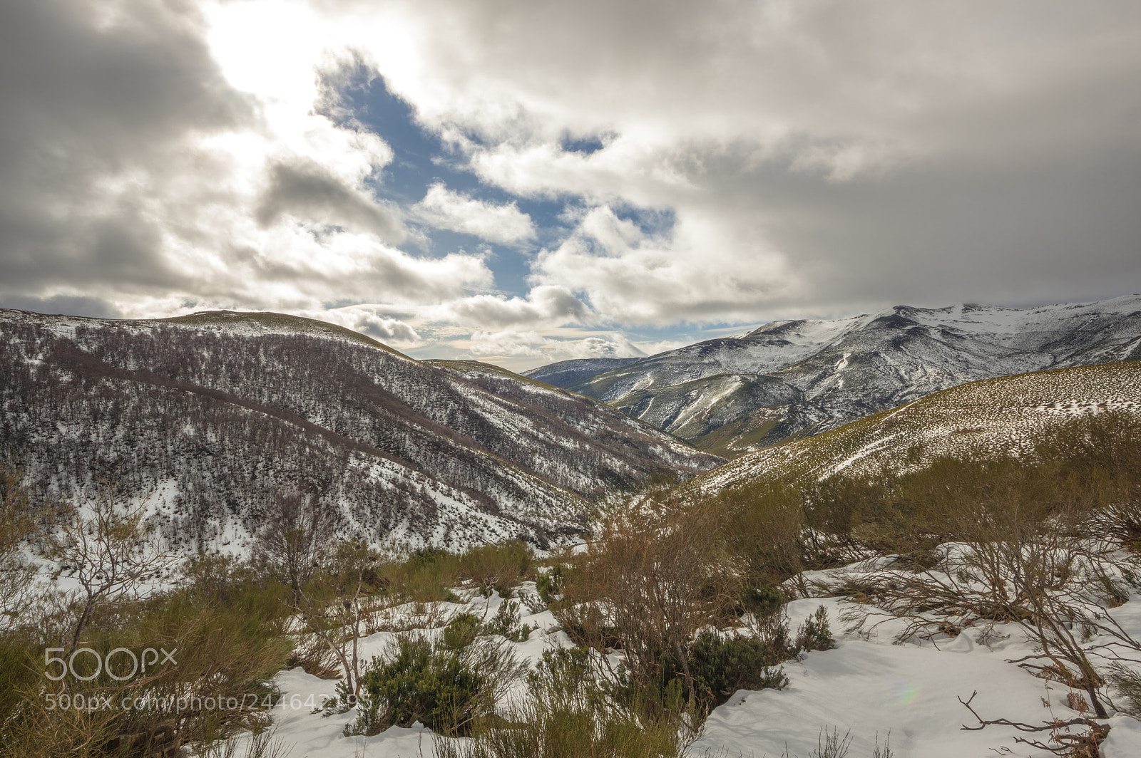 Pentax K-3 II sample photo. From la carisa. le photography