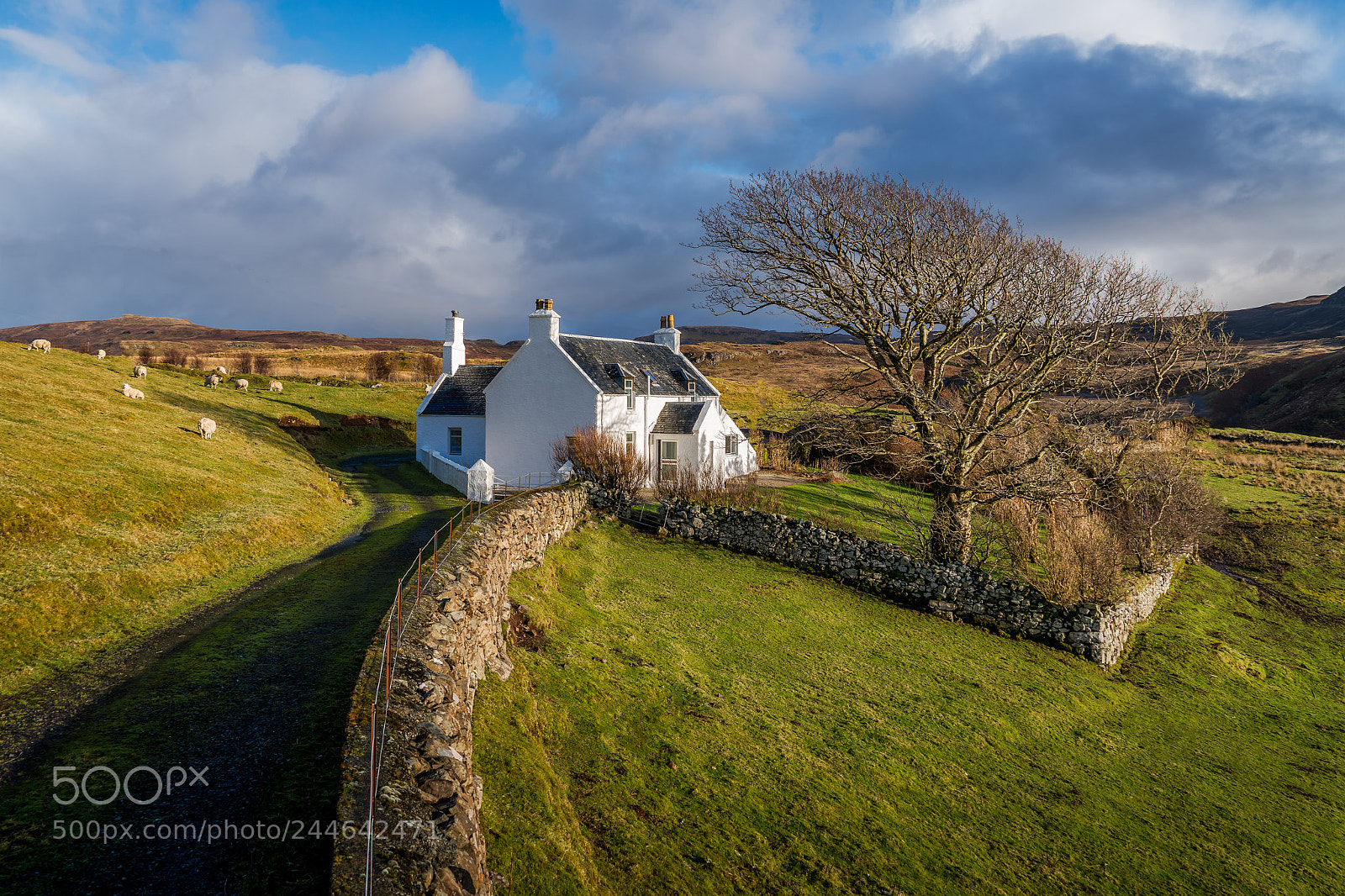 Sony a7R II sample photo. Totarder house - isle photography