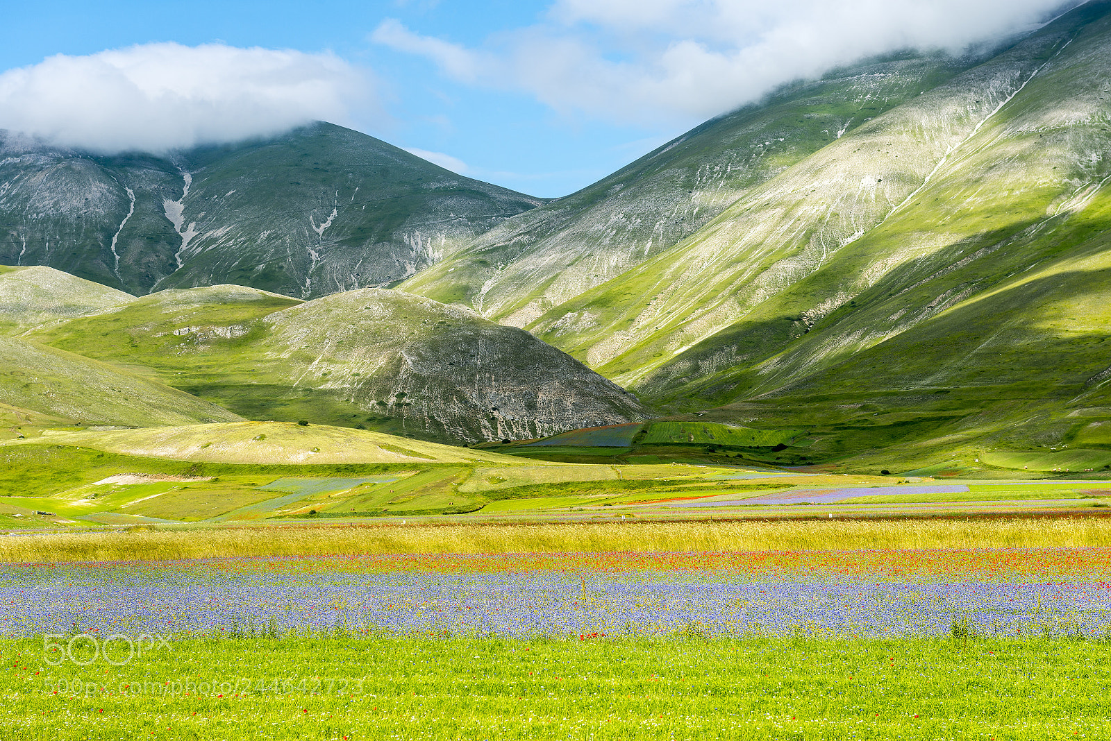 Nikon D800 sample photo. Piano grande di castelluccio photography