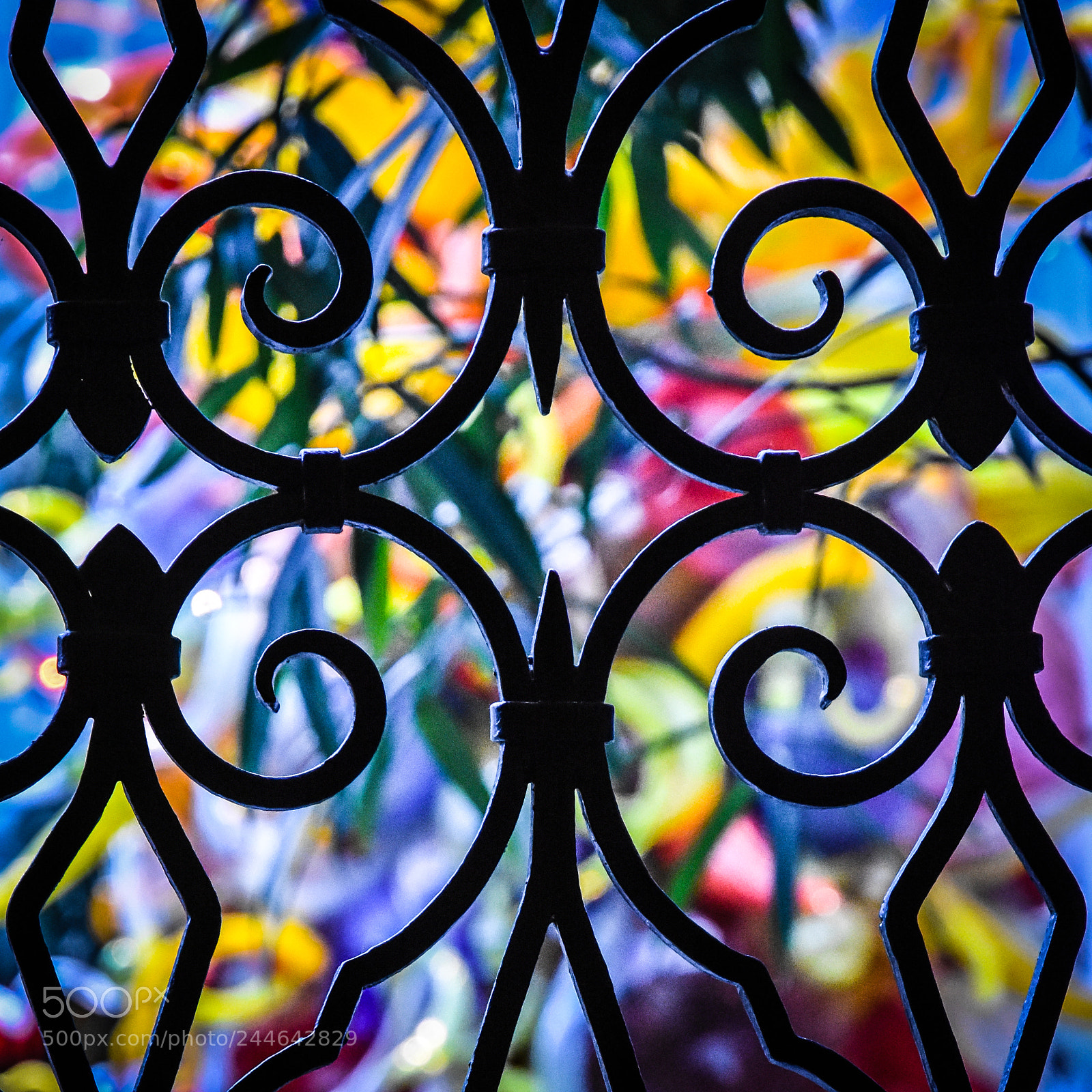 Nikon D7200 sample photo. Iron | leaves | glass photography