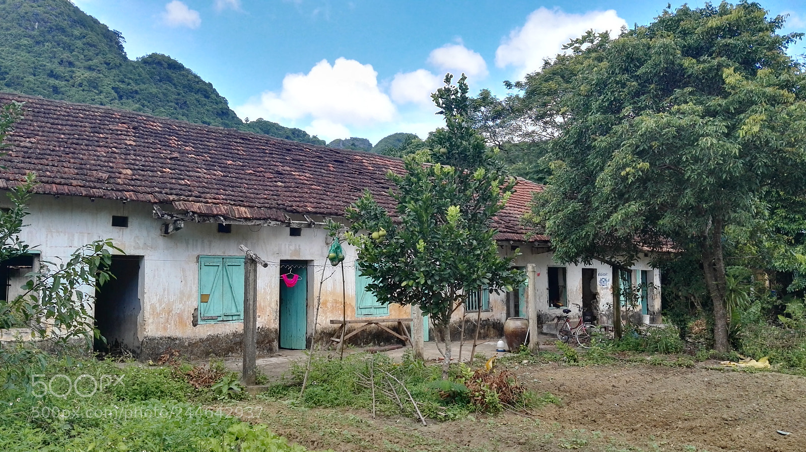 HUAWEI P8 sample photo. Country farm in cat photography