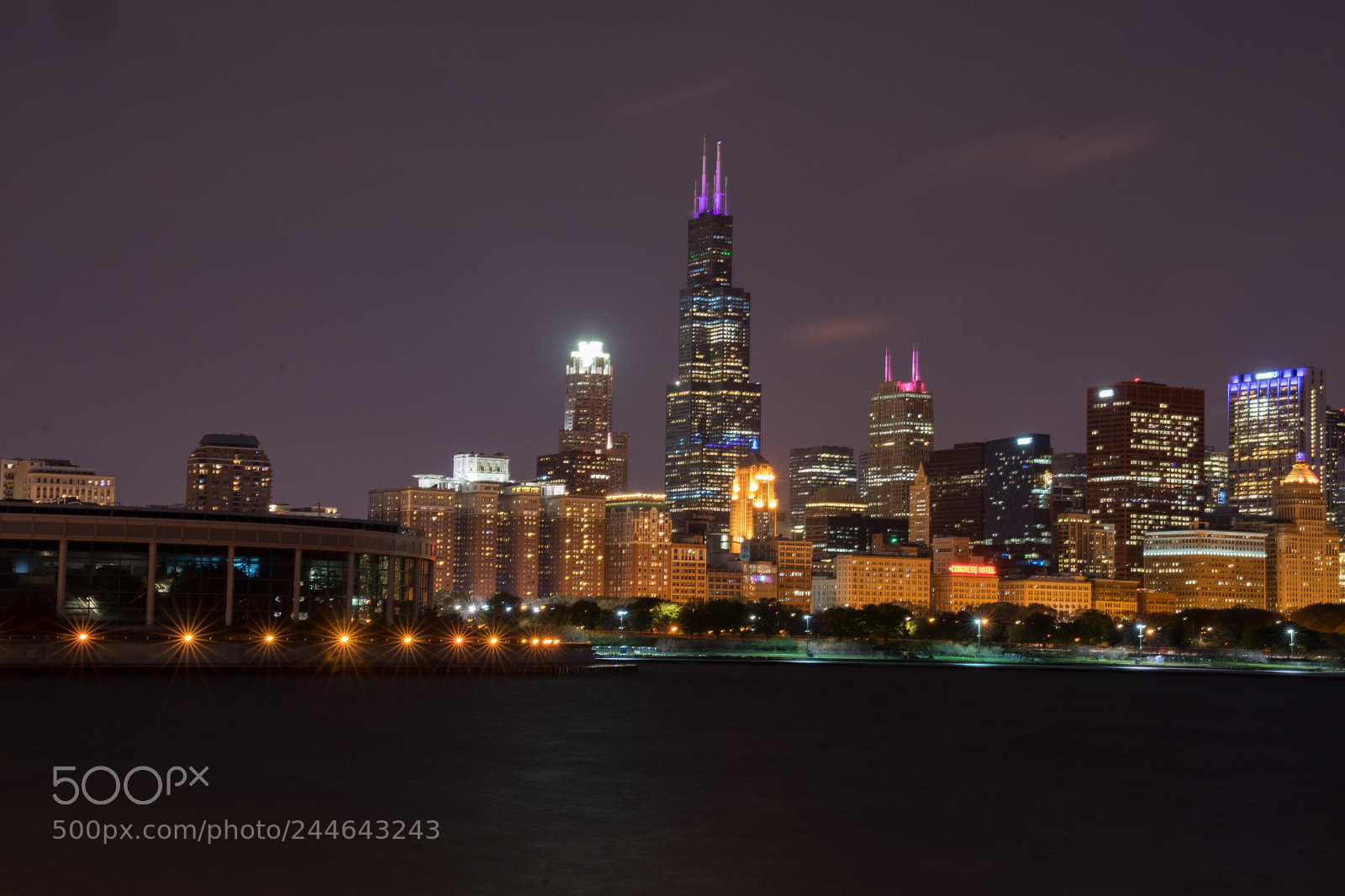 Sony a7 II sample photo. Chicago photography