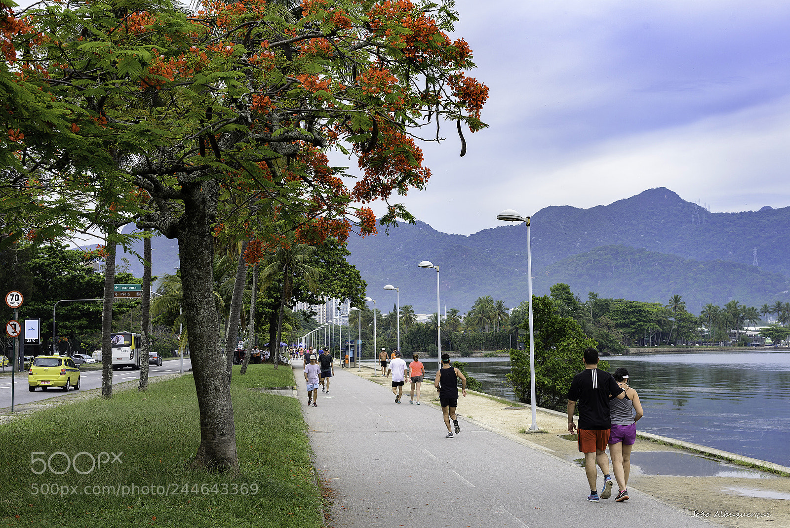 Nikon D600 sample photo. Weekend walk photography