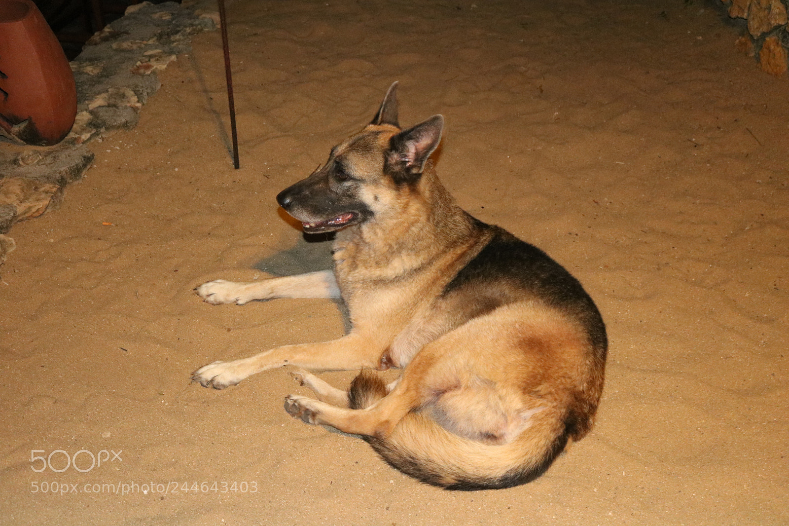 Canon EOS 750D (EOS Rebel T6i / EOS Kiss X8i) sample photo. Img photography