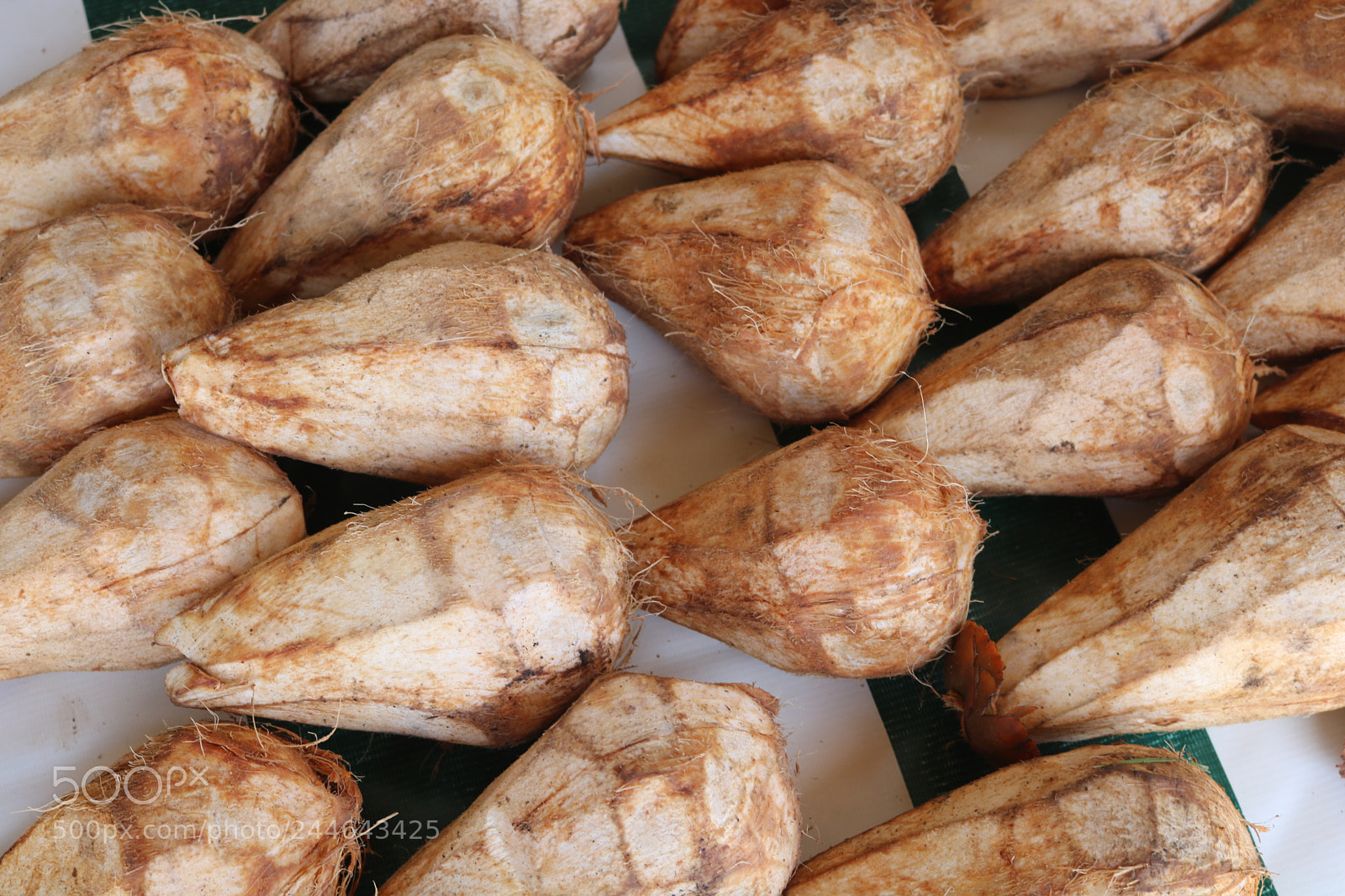 Canon EOS 750D (EOS Rebel T6i / EOS Kiss X8i) sample photo. Img photography