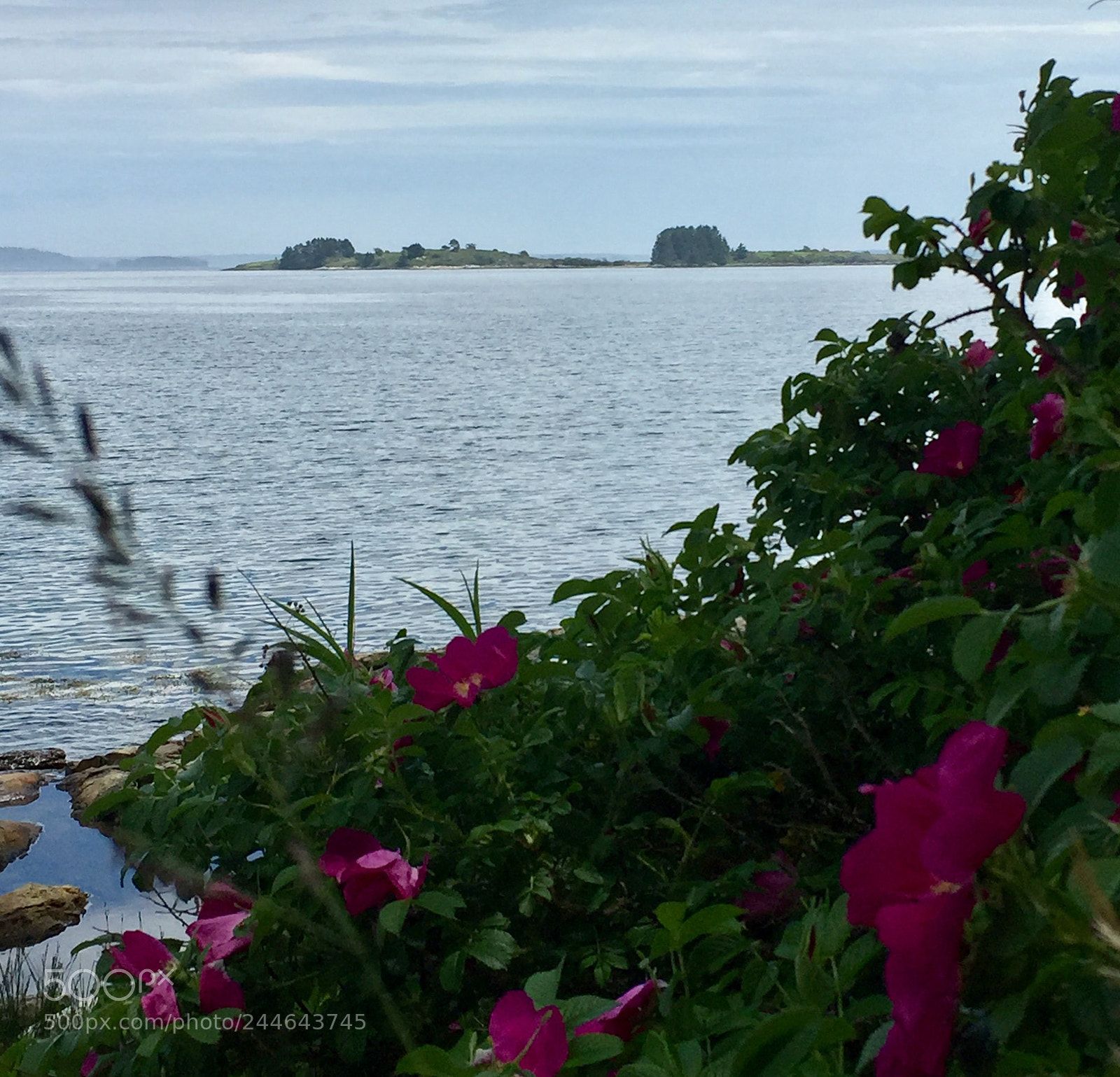 Apple iPhone 6 sample photo. Somewhere on the ocean photography