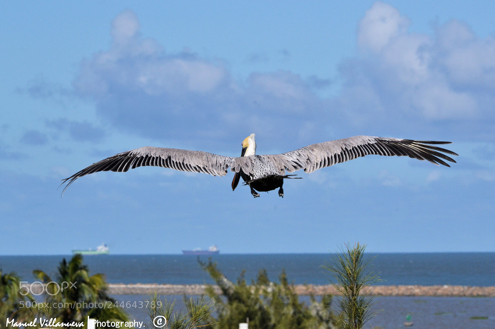 Nikon D3100 sample photo. Untitled photography