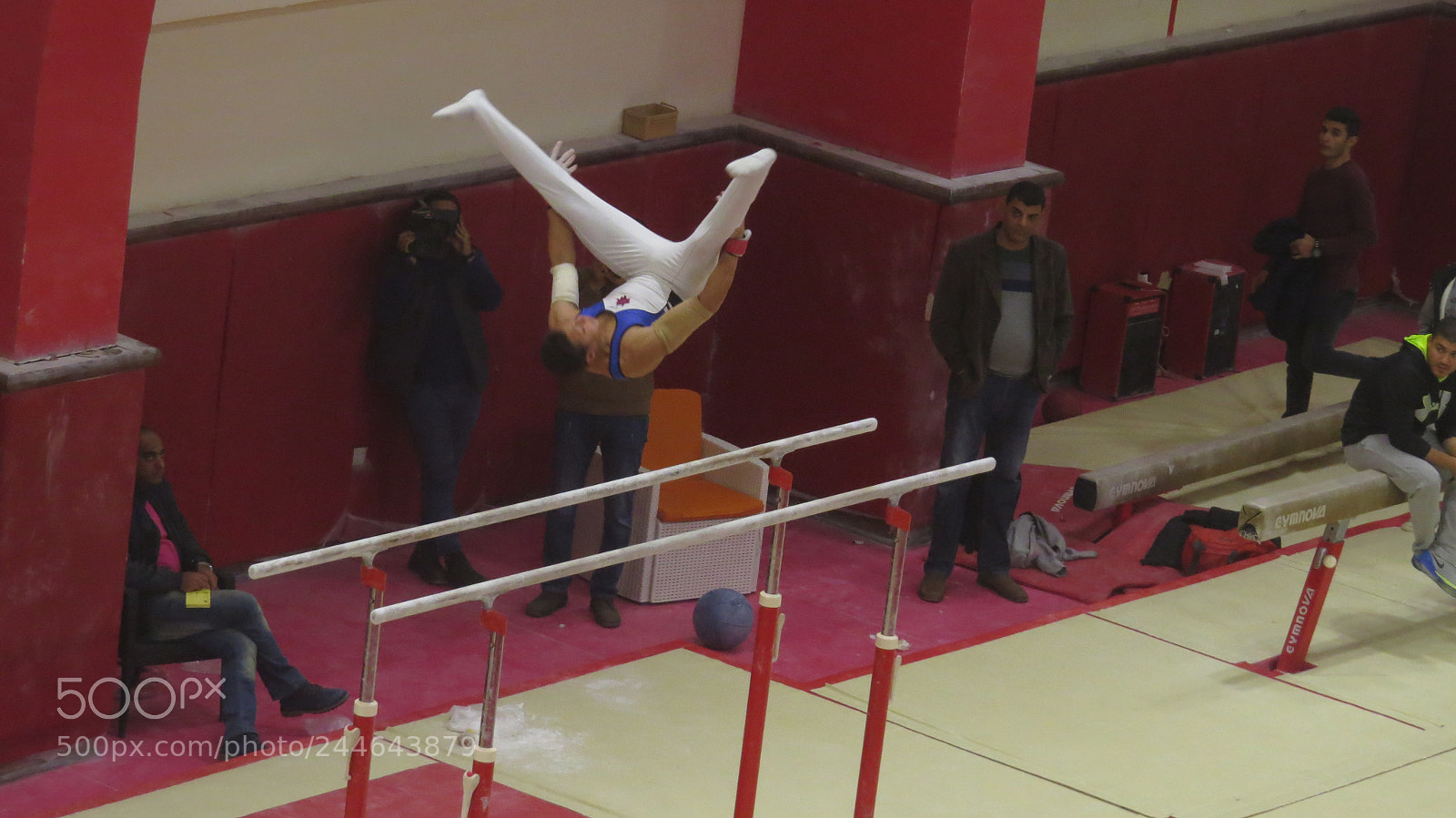 Canon PowerShot SX50 HS sample photo. Gymnastics photography