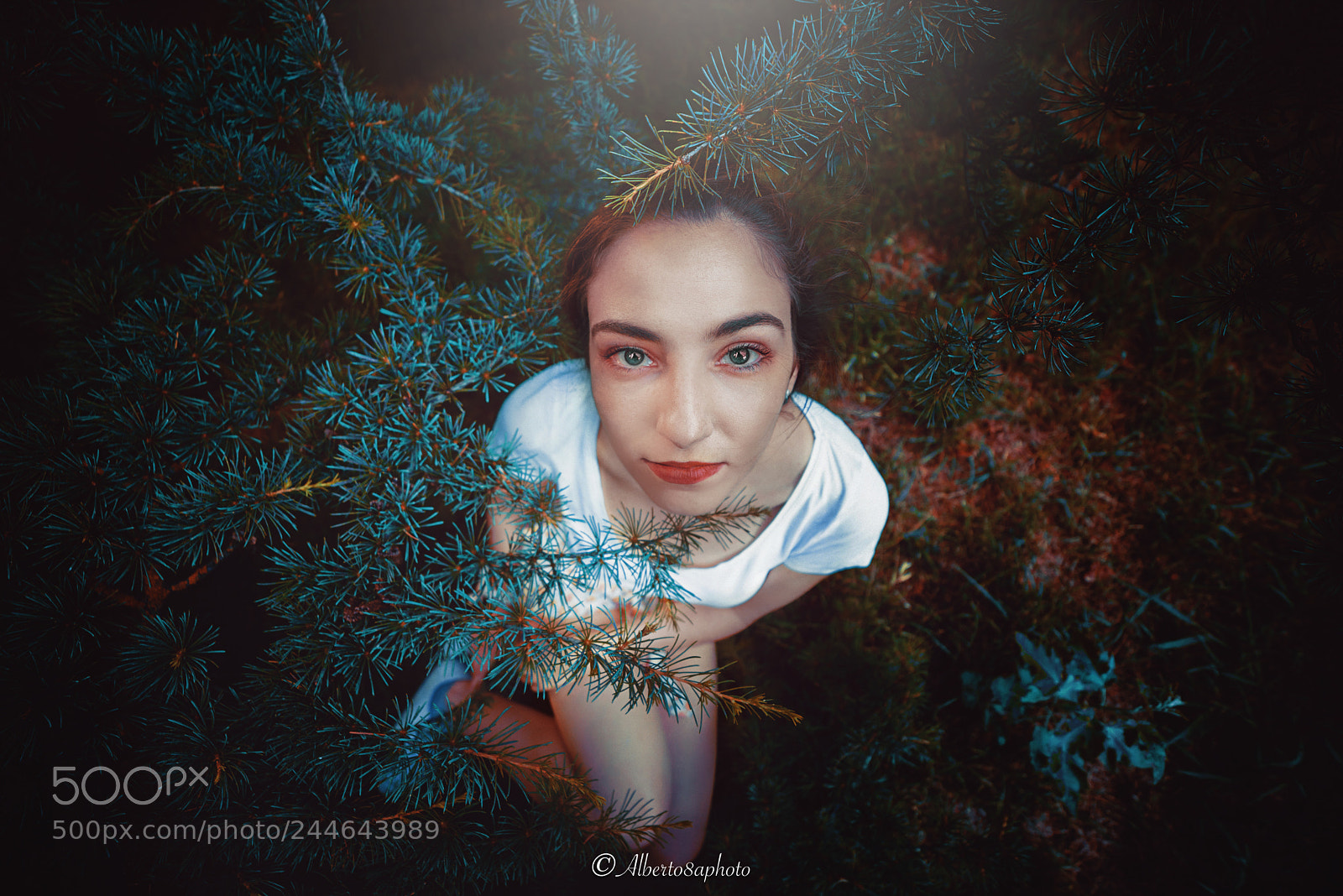 Nikon D610 sample photo. Portrait photography