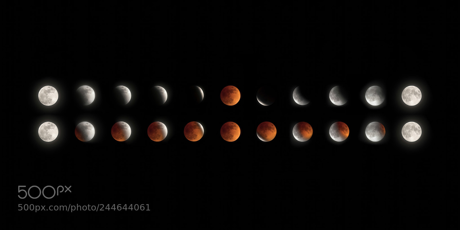 Nikon D500 sample photo. Super blue blood moon's photography