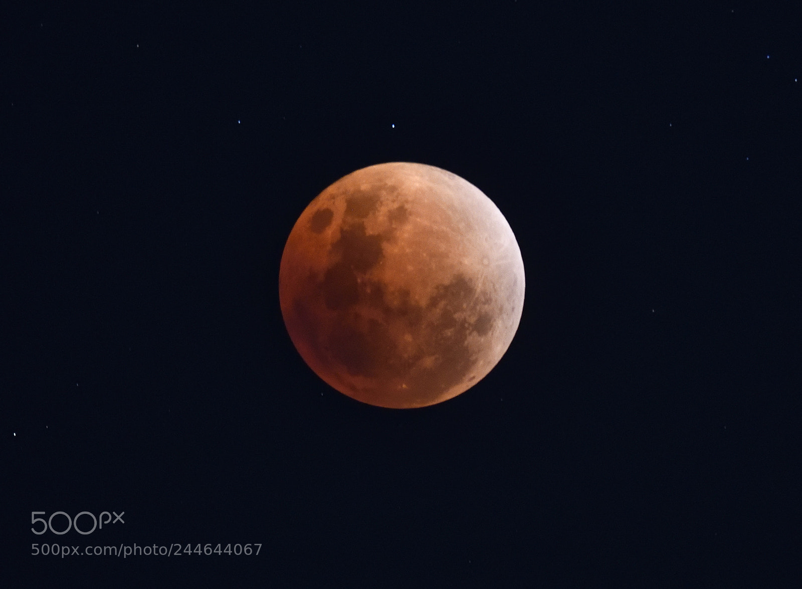 Nikon D850 sample photo. Lunar eclipse january 2018 photography