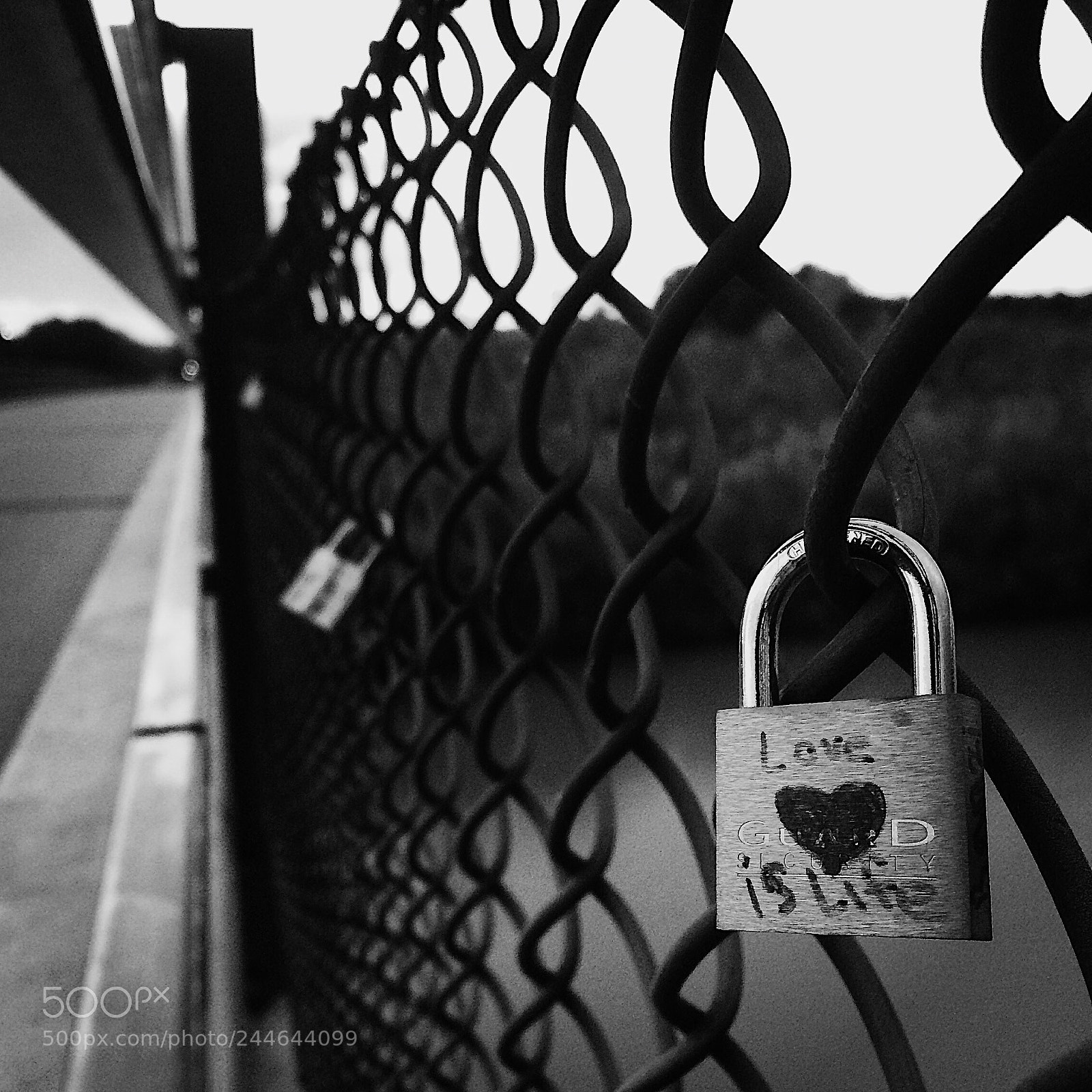 Apple iPhone 5s sample photo. Love is life photography