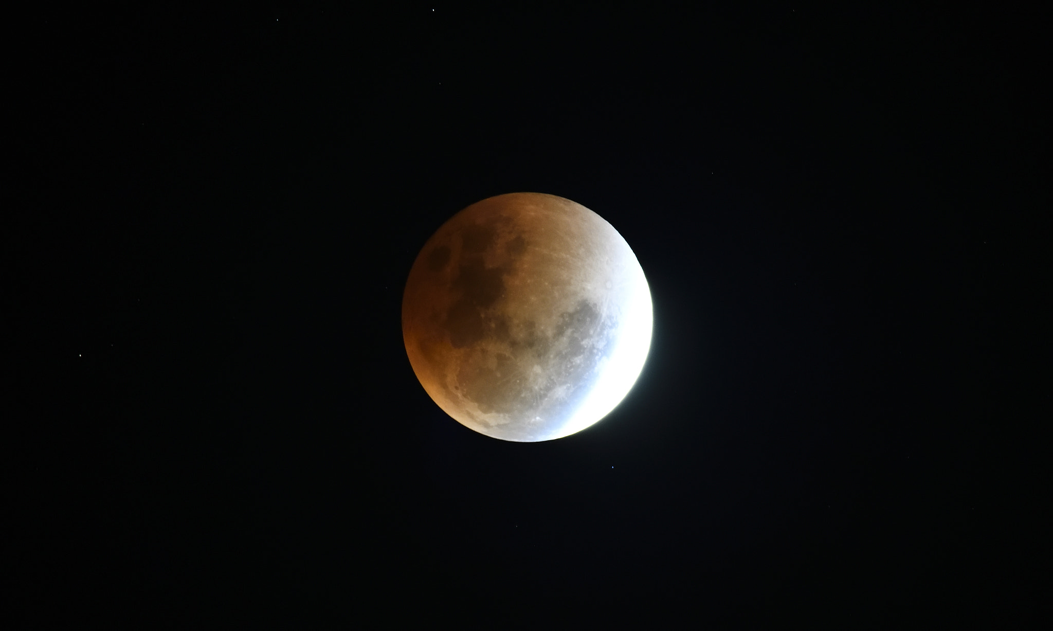 Sigma 150-600mm F5-6.3 DG OS HSM | S sample photo. Blue moon photography