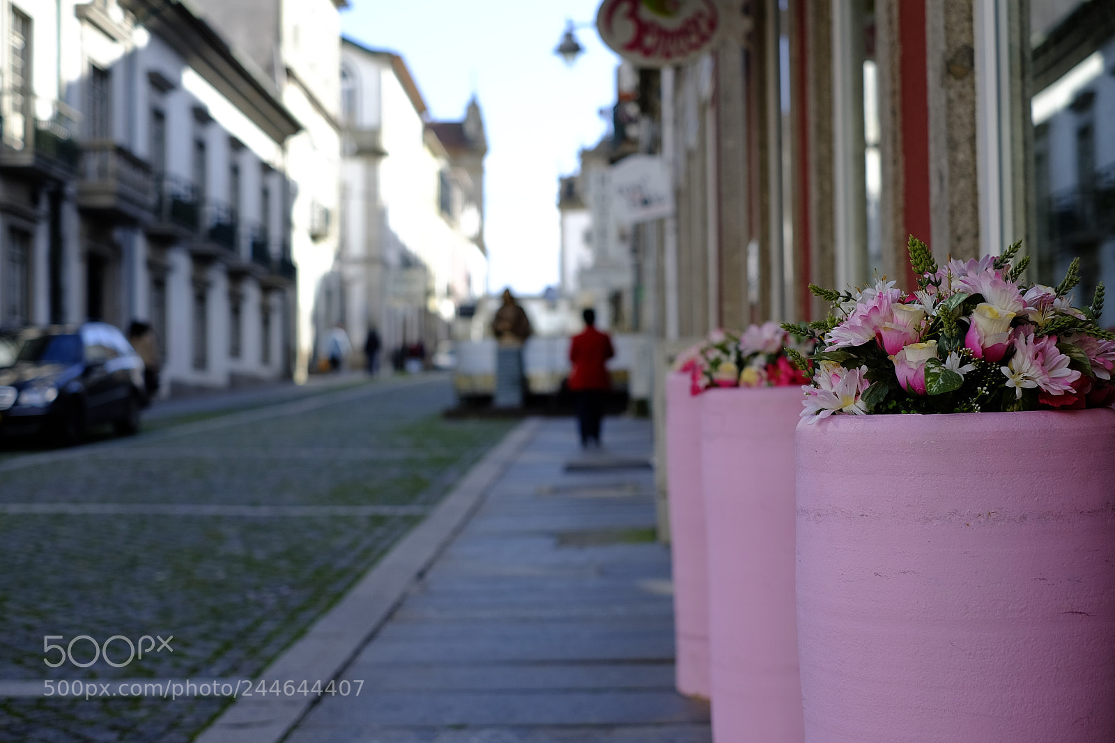 Fujifilm X-T10 sample photo. Street roses photography