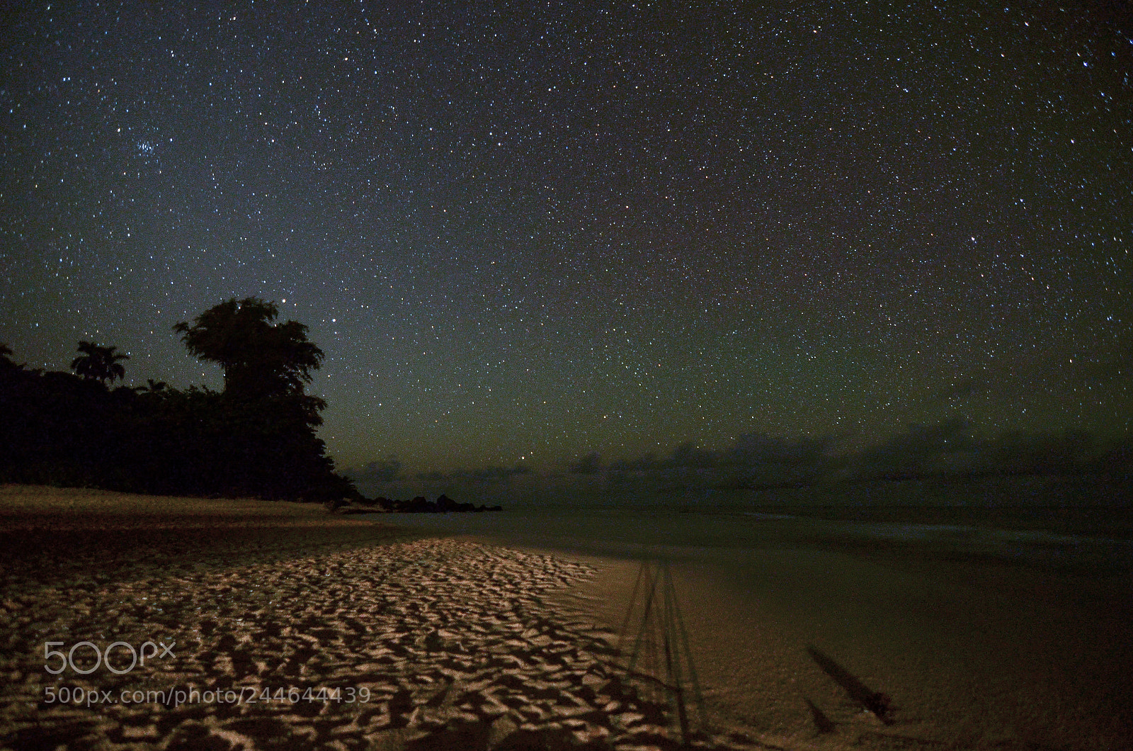 Nikon D5100 sample photo. Illumination beach photography