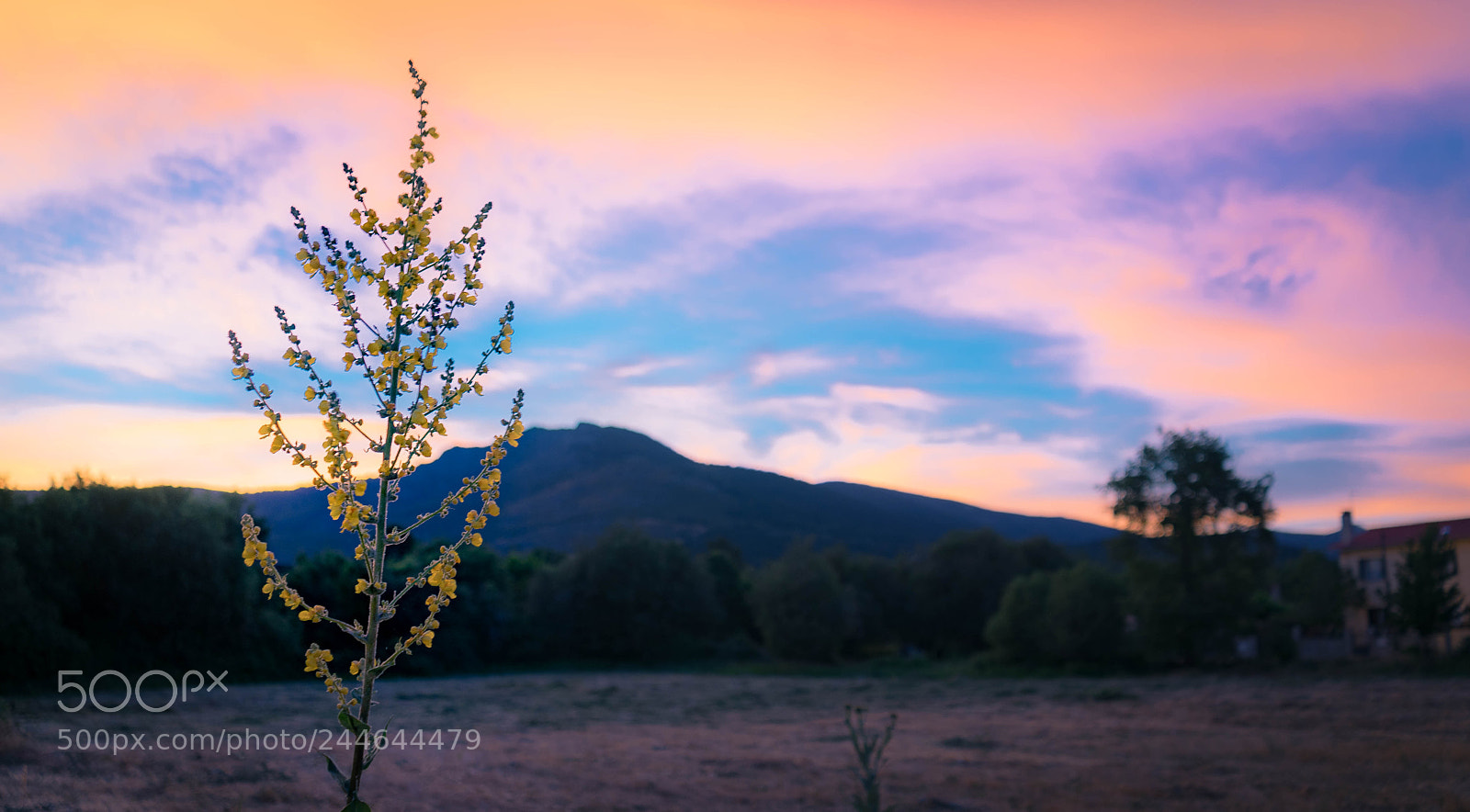 Sony a7 sample photo. Atardecer colorido photography
