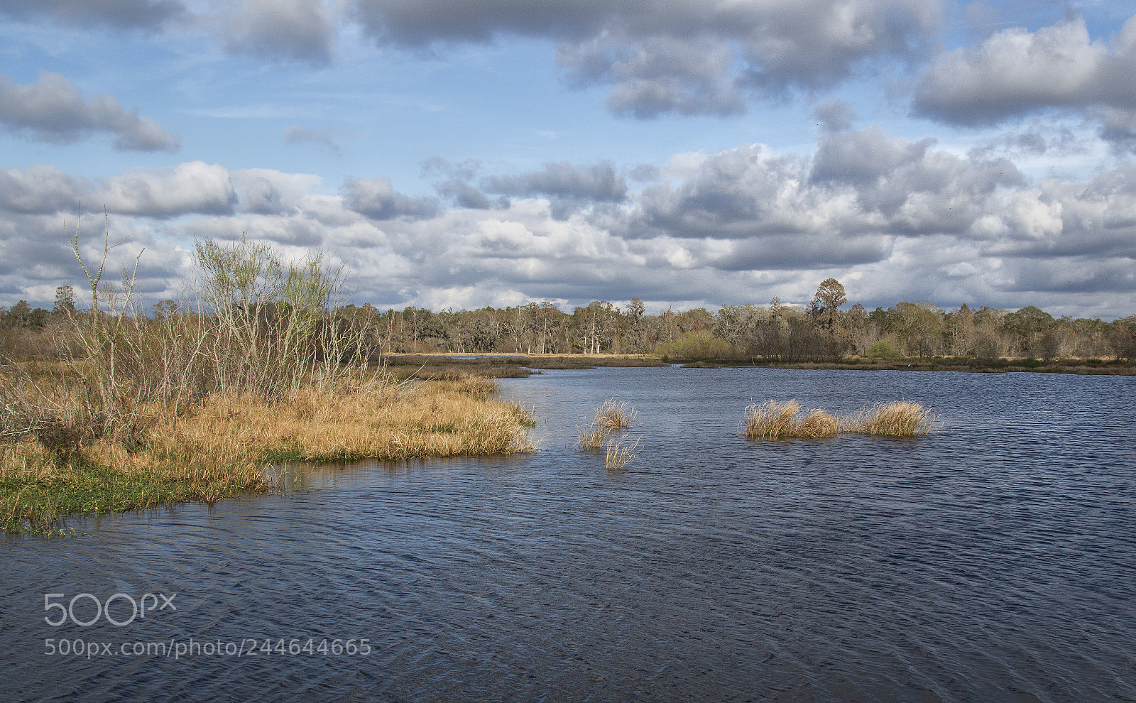 Canon EOS 7D Mark II sample photo. Florida landscapes photography