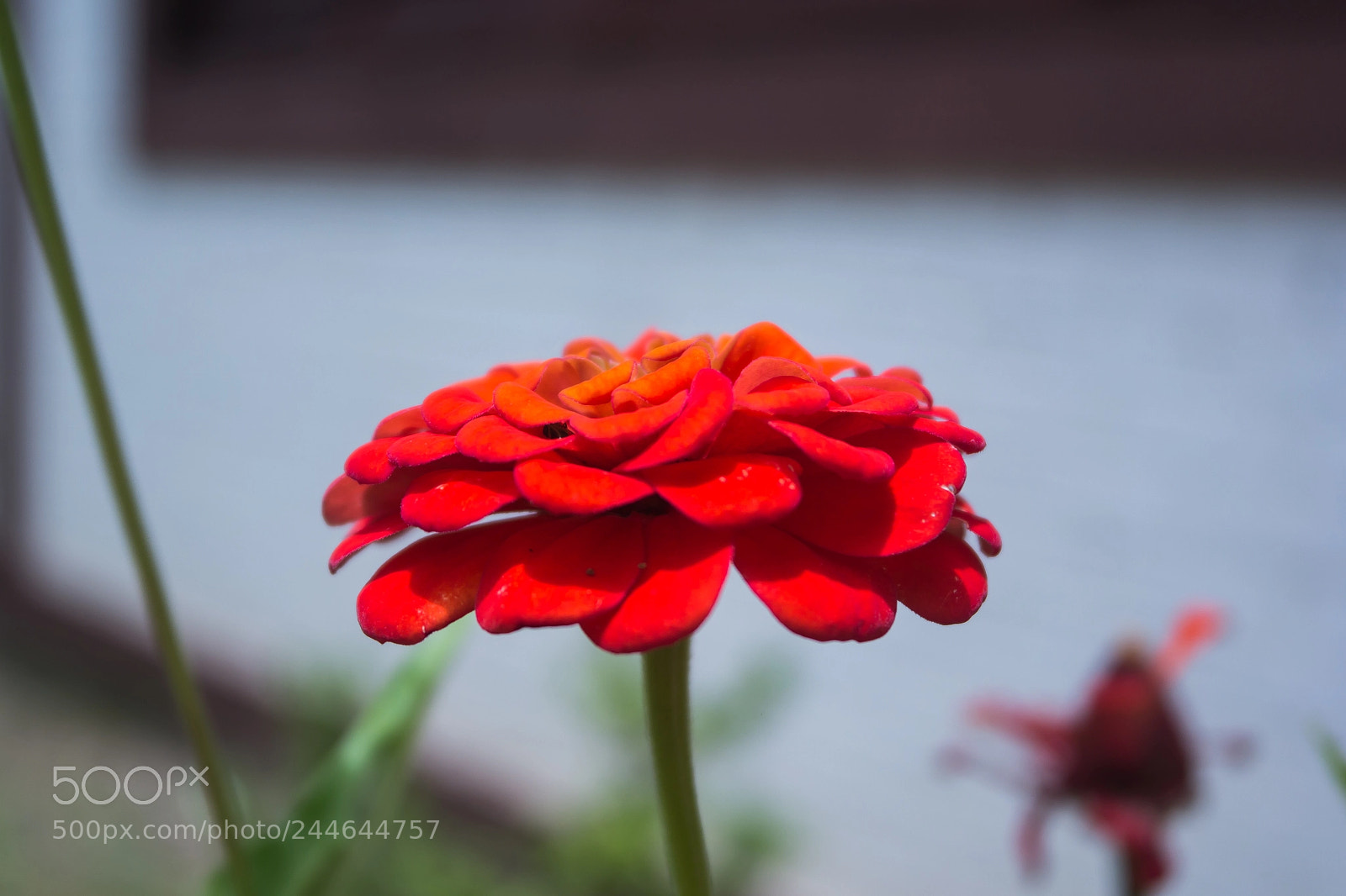 Samsung NX2000 sample photo. Sam photography