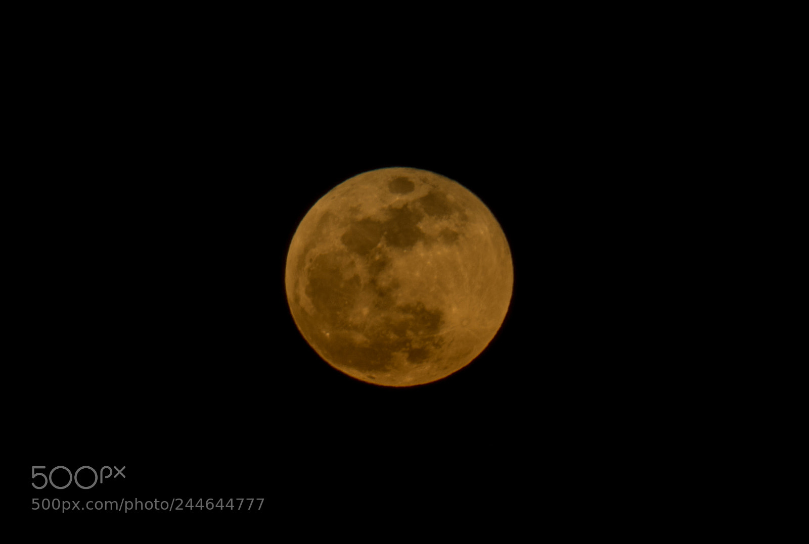 Olympus OM-D E-M1 Mark II sample photo. Pure moon photography