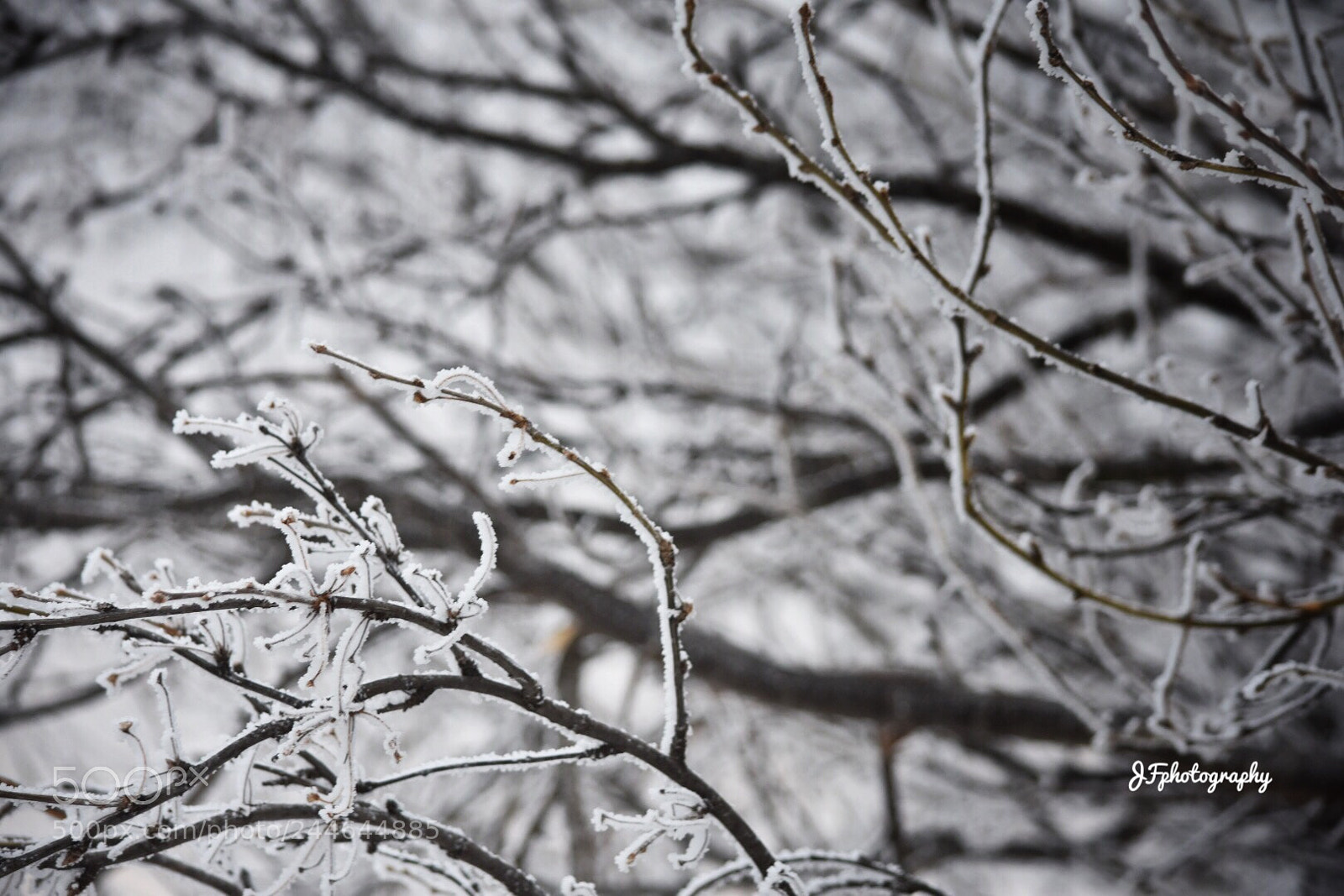 Nikon D7200 sample photo. Untitled photography