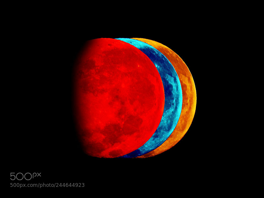 Nikon Coolpix P900 sample photo. Super blue blood moon photography