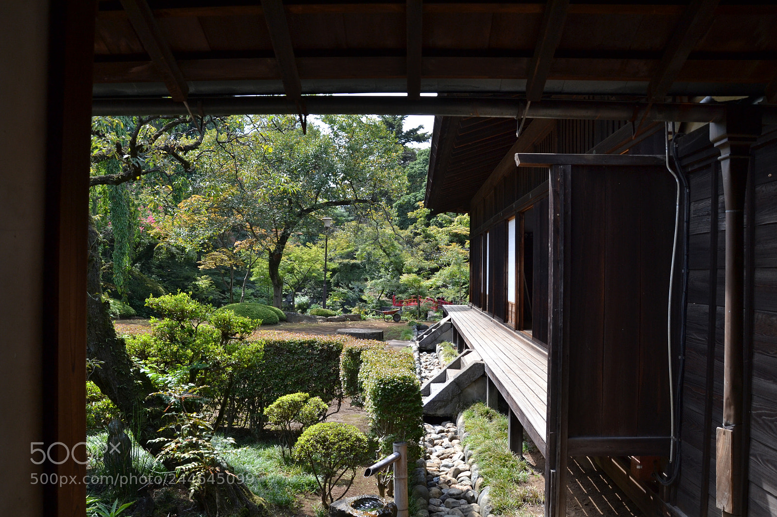 Nikon D3100 sample photo. Untitled photography